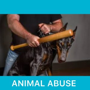 Animal Abuse